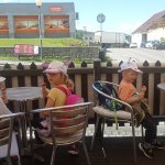 phoca_thumb_m_mdd zajici 44 Fotogalerie